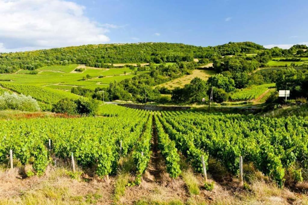 Le Chardonnay - Locationtournus